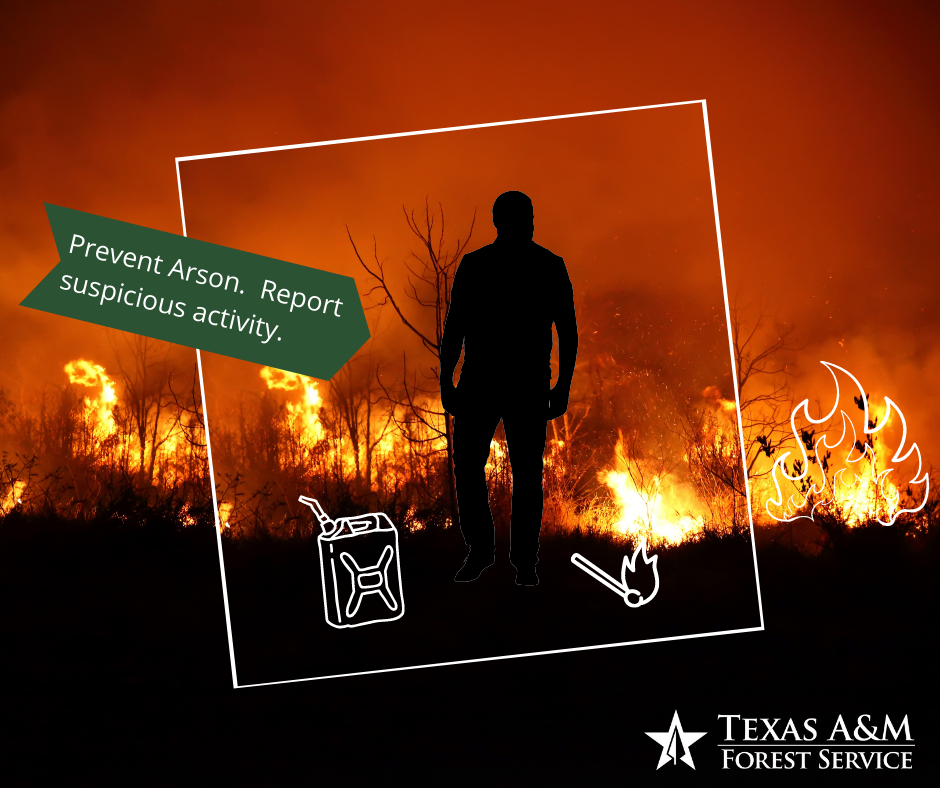 WinterWildfirePrevention_Arson WinterWildfirePrevention_Arson